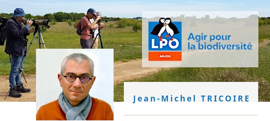 bandeau interview JM Tricoire
